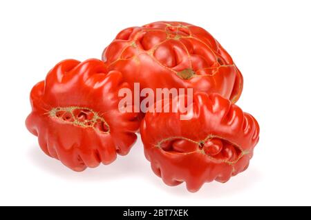 Bio-Tomaten sind eine lustige Form auf weißem Hintergrund. Helles Gemüse Stillleben. Isoliert. Stockfoto