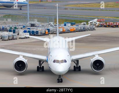 Frontansicht des ANA Boeing 787 Dreamliner von All Nippon Airways am Tokyo Haneda International Airport (HND), Japan. Flugzeug 787-8 als JA801A. Stockfoto