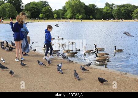 Ein sehr windiger Samstag am Wochenende der Maifeiertage, 23. Mai, auf dem Round Pond, in Kensington Gardens, im Westen Londons, Großbritannien Stockfoto