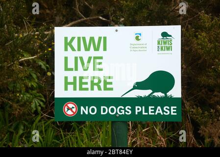 Ein Straßenschild warnt die Fahrer vor Kiwi, wenn sie nach Okarito auf Neuseelands Südinsel fahren Stockfoto