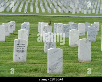 Riverhead, NY - 23. Mai 2020: Blick auf den Calverton National Cemetery für Veteranen während des Memorial Day Wochenendes inmitten der COVID-19 Pandemie in Long Island Stockfoto