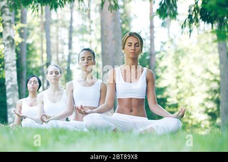 Frauen in weißer Sportswear sitzen während des Gruppenyoga-Trainings im Park in lotus-position Stockfoto