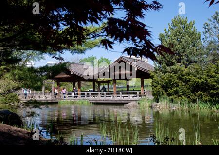 Mississauga, Ontario / Kanada - 20. Mai 2016: Japanischer Garten im Kariya Park - Japanischer Garten in Mississauga, Ontario, Kanada Stockfoto