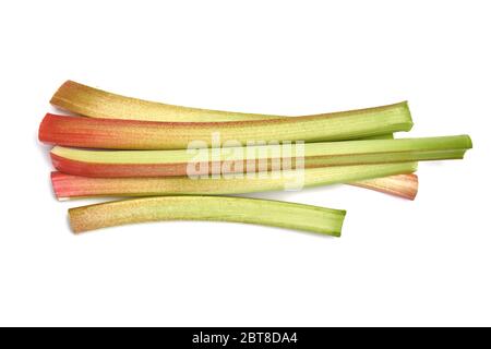 Rhabarberstängel schneiden und bereiten isoliert auf weißem Hintergrund Stockfoto