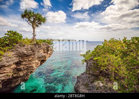 Landschaftlich reizvolle Landschaft mit einem einzigen Baum auf einer geschwungenen Klippe mit wunderschönen türkisfarbenen Wasser, blauem Himmel und Wolken auf der Insel Mare, Neukaledonien Stockfoto