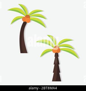 Kokospalme und Palme isolierte Vektorgrafik Stock Vektor