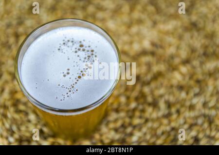 Glas Bier von oben mit Malz im Hintergrund Stockfoto
