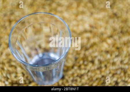 Glas Bier von oben mit Malz im Hintergrund Stockfoto