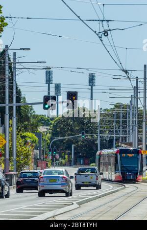 Verkehr und eine Sydney Light Rail Straßenbahn auf der Anzac Parade in Kensington, Sydney, Australien, mit den Lichtern des SCG (Sydney Cricket Ground) im Hintergrund. Stockfoto