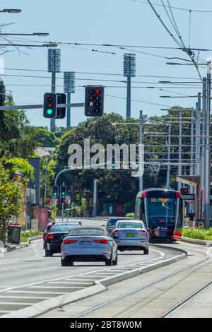 Verkehr und eine Sydney Light Rail Straßenbahn auf der Anzac Parade in Kensington, Sydney, Australien, mit den Lichtern des SCG (Sydney Cricket Ground) im Hintergrund. Stockfoto