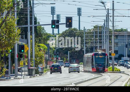 Verkehr und eine Sydney Light Rail Straßenbahn auf der Anzac Parade in Kensington, Sydney, Australien, mit den Lichtern des SCG (Sydney Cricket Ground) im Hintergrund. Stockfoto