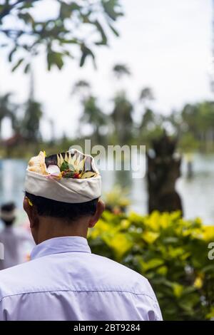 BALI, INDONESIEN - 27. JANUAR 2019: Nicht identifiziertes Pöppel am Tirta Gangga Wasserpalast in Bali, Indonesien. Es ist ein ehemaliger königlicher Palast im Osten Balis, Stockfoto