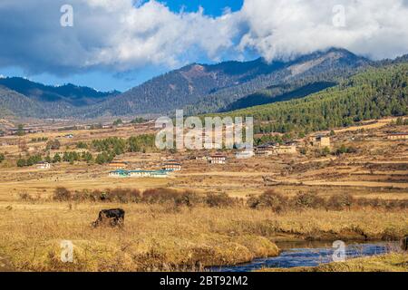 Ein Dorf im schönen Phobjika Tal auf einer Höhe von 3000 m Stockfoto