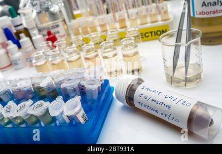 Proben mit Clostridium Botulinum Toxin kontaminiert, die Botulismus beim Menschen verursacht, Laborforschung, konzeptionelles Bild Stockfoto