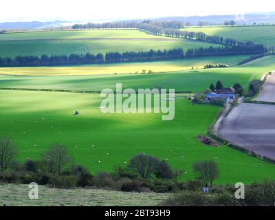 Old Winchester Hill, Hampshire, Großbritannien. Stockfoto