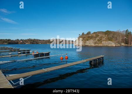 Leere Schwimmdocks im Frühjahr. Stockfoto