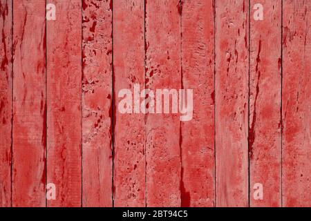 Gesprungene hellrote Holzhintergrund. Holz vertikale Planke, zerkratzte Oberfläche. Rosa Holzzaun Hintergrund. Kopierbereich. Boards mit Vintage-Struktur. Stockfoto