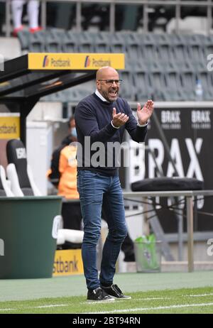Borussia Park Mönchengladbach Deutschland, Fußball: Bundesliga-Spieltag 27, Borussia Mönchengladbach (BMG, weiß) gegen Bayer 04 Leverkusen (B04, rot) 1:3 - Trainer Peter Bosz (Bayer 04 Leverkusen) . Aufgrund der Corona-Virus-Pandemie werden alle deutschen Ligaspiele in leeren Stadien ohne Zuschauer gespielt. Foto: Maik Hölter/team2sportphoto/Pool/via Kolvenbach nur für redaktionelle Verwendung! Die DFL-Bestimmungen verbieten die Verwendung von Fotos als Bildsequenzen und/oder quasi-Video. Stockfoto
