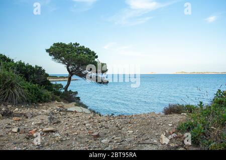 Sardische Landschaft der Südküste Stockfoto