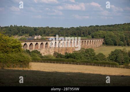 Nordbahn-Sprinterzug der Klasse 155 + Schrittzug der Klasse 144 über den langen Crimple-Talviadukt (südlich von Harrogate) Stockfoto