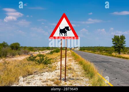 Warzenschweine überqueren Warnschild entlang einer Straße in Namibia platziert Stockfoto