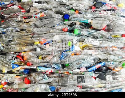 Nahaufnahme der Box von gepressten Plastikflaschen bereit für das Recycling. Stockfoto