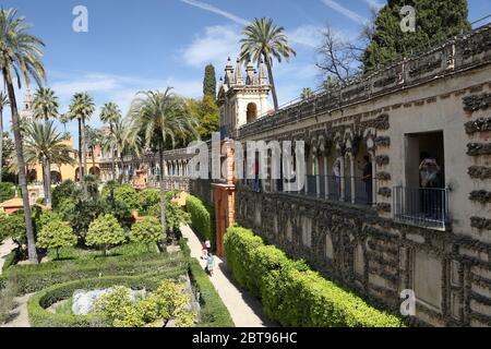 Echte Alcazar Gärten und Gehweg Stockfoto