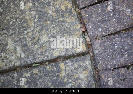 Verwitterte Gartenpflaster Platten mit Schutt in Lücken und Kopierraum Stockfoto