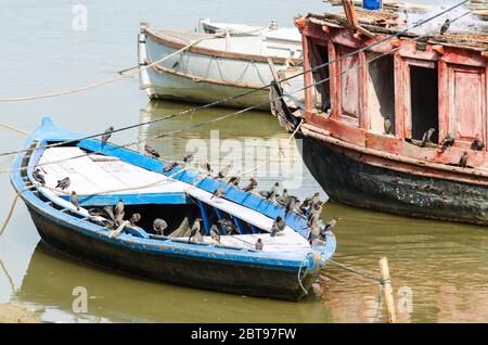 Bank Myna Vögel auf bunten alten rustikalen Booten am Ganges Fluss, Varanasi Stockfoto