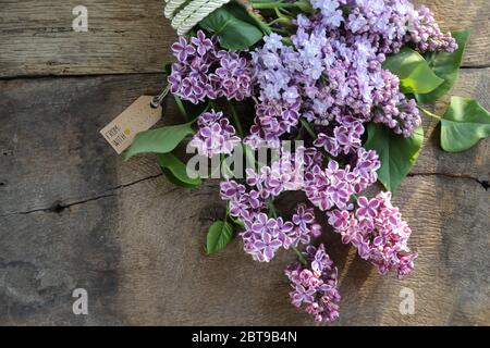 Happy Mothers Tag schöne lila Frühling Blumen mit Geschenk-Tag. Flieder Blumen auf alten antiken braunen Holz rustikalen Hintergrund. Draufsicht, flach liegend. Banner, Karte, Poster Konzept. Stockfoto