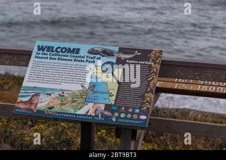 Elefanten-Robben, Walrosse liegen am Strand, California Coastal Trail. Pazifik. Stockfoto