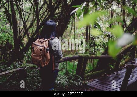 Asiatische Backpacker Blick auf die Ansicht in Regenwald nutural Trail.Low Winkel Ansicht Stockfoto