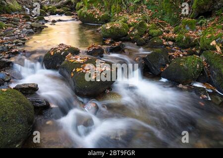 Wasserfälle auf Castramon Cleuch im Herbst, in der Nähe von Gatehouse of Fleet, Dumfries & Galloway, Schottland Stockfoto