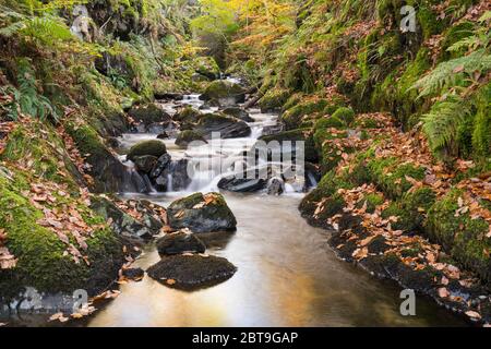 Wasserfälle auf Castramon Cleuch im Herbst, in der Nähe von Gatehouse of Fleet, Dumfries & Galloway, Schottland Stockfoto