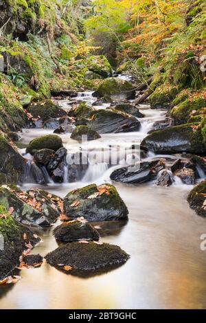 Wasserfälle auf Castramon Cleuch im Herbst, in der Nähe von Gatehouse of Fleet, Dumfries & Galloway, Schottland Stockfoto