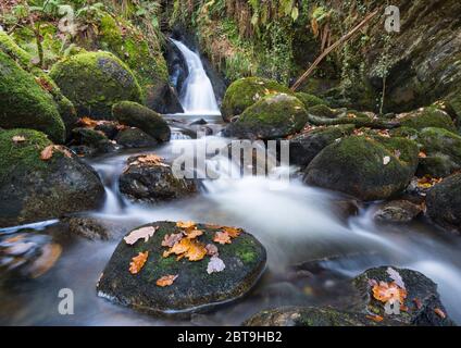 Wasserfälle auf Castramon Cleuch im Herbst, in der Nähe von Gatehouse of Fleet, Dumfries & Galloway, Schottland Stockfoto