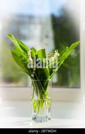 Blumenstrauß von Lilien des Tals in einem Glas-Becher auf der Fensterbank an einem sonnigen Maitag Stockfoto