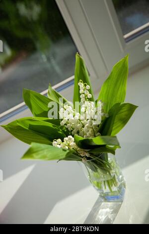 Blumenstrauß von Lilien des Tals in einem Glas-Becher auf der Fensterbank an einem sonnigen Maitag Stockfoto