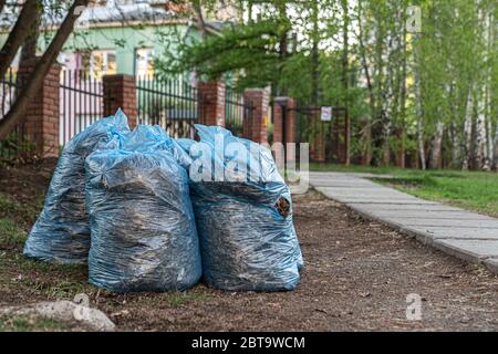 Säcke von Gras und Müll werden aufgestapelt. Reinigung Wohnhöfe. Stockfoto