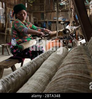 Lung Tam, Vietnam - 9. Januar 2020 - Frau, die auf traditionelle Weise webt, konzentriert sich auf lin und Webstuhl Stockfoto