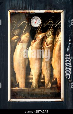 Viele goldbraune, ausgehärtete Chars (Salvelinus - Saibling) hängen in einem Raucher am Hauptplatz von Hallstatt, Salzkammergut, Österreich Stockfoto