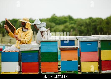 Der junge Imker lernt von seinem Lehrer Stockfoto