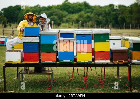 Der junge Imker lernt von seinem Lehrer, umgeben von Bienenstöcken Stockfoto