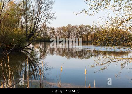 Teich mit Bäumen und Himmel Reflexion während des Frühlingabends in CHKO Poodri in der Nähe Jistebnik Dorf in der Tschechischen republik Stockfoto