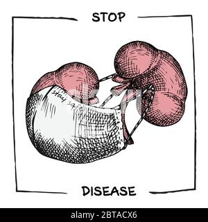 Niere mit medizinischer Maske. Realistische handgezeichnete Ikone der inneren Organe des Menschen. Gravur Kunst. Skizzenstil. Designkonzept für Ihre medizinischen Projekte Stock Vektor