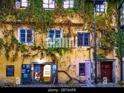 Gelbes, mit Weinreben bedecktes Gebäude in Cesky Kromlov, einer Stadt in der südböhmischen Region der Tschechischen Republik, Europa Stockfoto