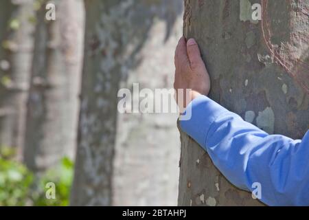 Arm eines Geschäftsmannes umarmt einen Baum als Symbol der Nachhaltigkeit - Fokus auf die Hand Stockfoto