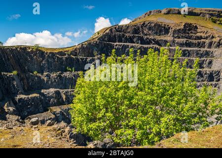 Ein drei Bilder HDR von Dry Rigg Quarry bei Helwith Bridge. Ein Steinbruch im Yorkshire Dales National Park, England. 21 Mai 2020 Stockfoto