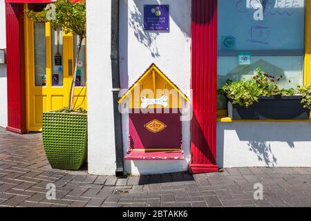 Kinsale, Cork, Irland. Mai 2020. Dog Bar in Kinsale, Co. Cork, Irland. - Credit; David Creedon / Alamy Stockfoto