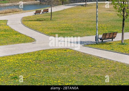 Die Kreuzung der Wege im Park zwischen Rasenflächen mit gelb blühenden Löwenzahn gefüllt. Donezk. Stockfoto